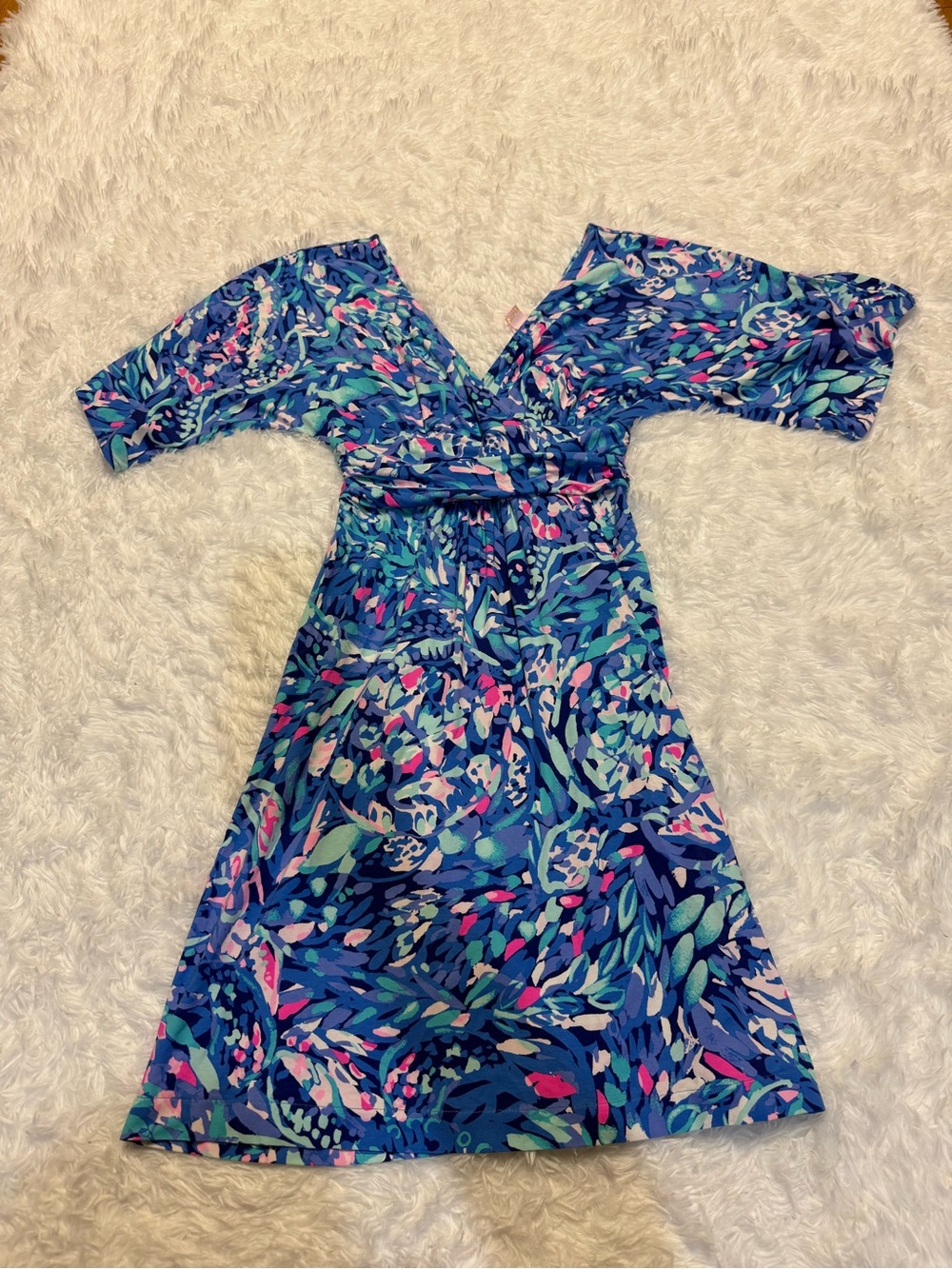 Lilly Pulitzer Parigi Dress - Picture 5 of 12